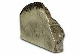 Free-Standing, Petoskey Stone (Fossil Coral) Section - Michigan #356981-2